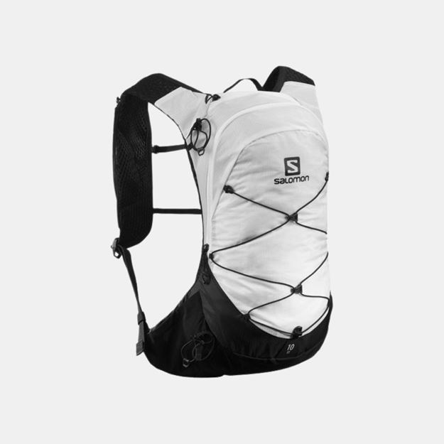 Picture of SALOMON - XT 10 WHITE/